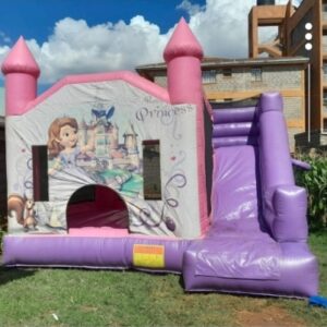 Princess Sofia Castle Medium