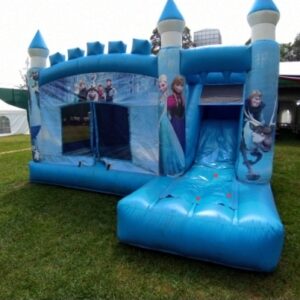 Frozen Castle Deluxe