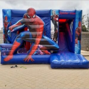 Spider Castle Medium