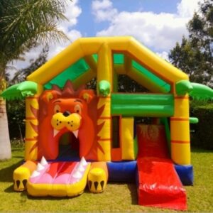 Lion Castle
