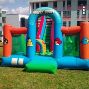 Angry Birds Castle Pool
