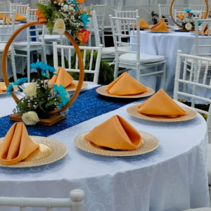 WHITE RESIN CHIAVARI CHAIR