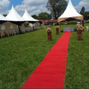 Walkway Red Carpet